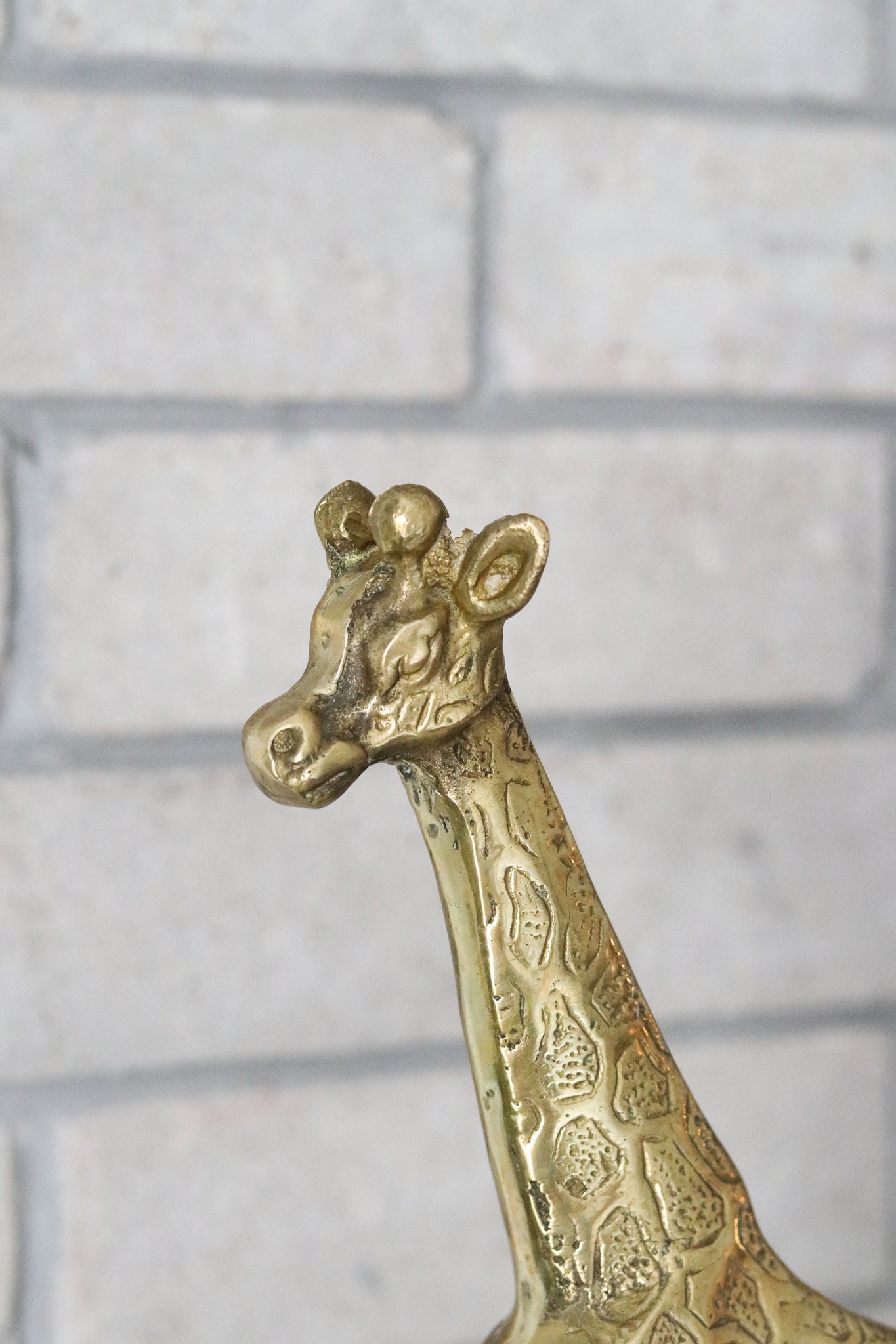 Brass Giraffe