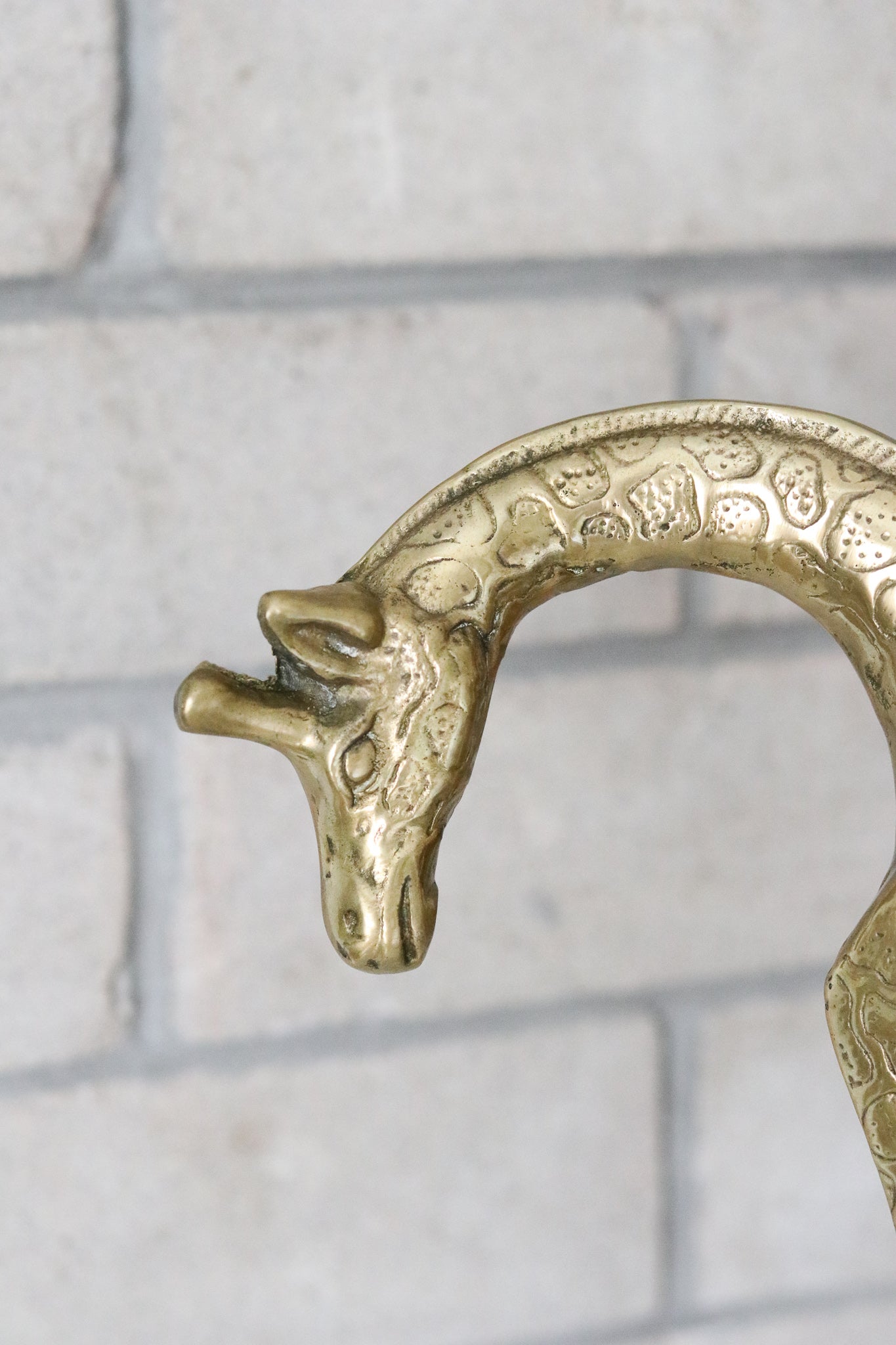 Brass Giraffe