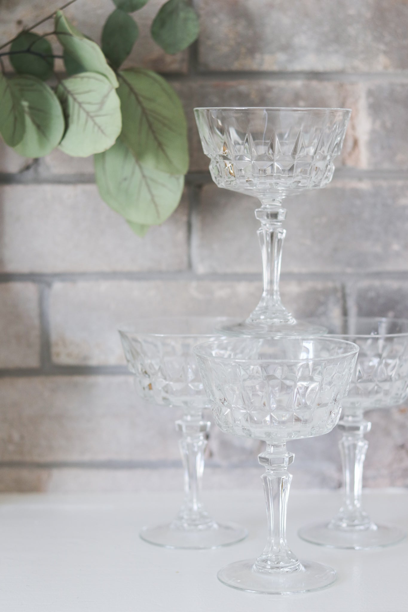 Cocktail Coupes