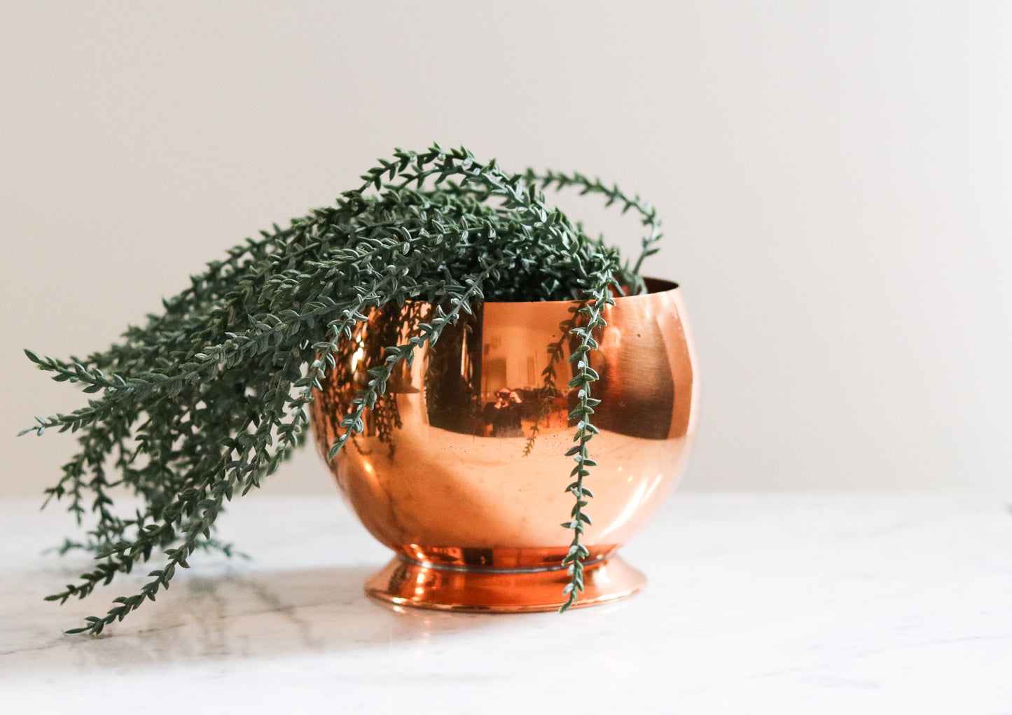 Copper Planter